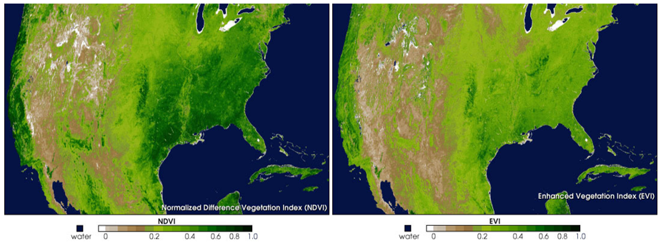 NDVI and EVI from MODIS image composites (5-20 March 2000). Source: http://earthobservatory.nasa.gov/