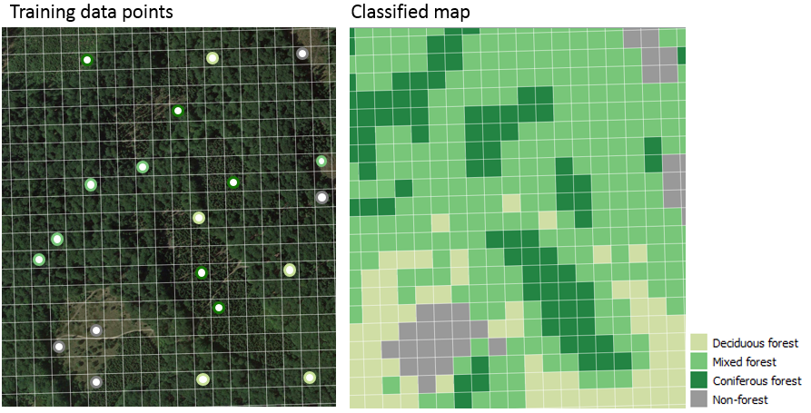 Training points for forest type classification and the resulting classification map output