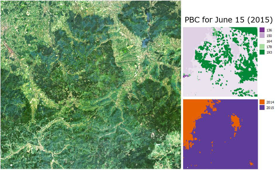 Final Landsat composite and Pixel Based Composite (PBC) information