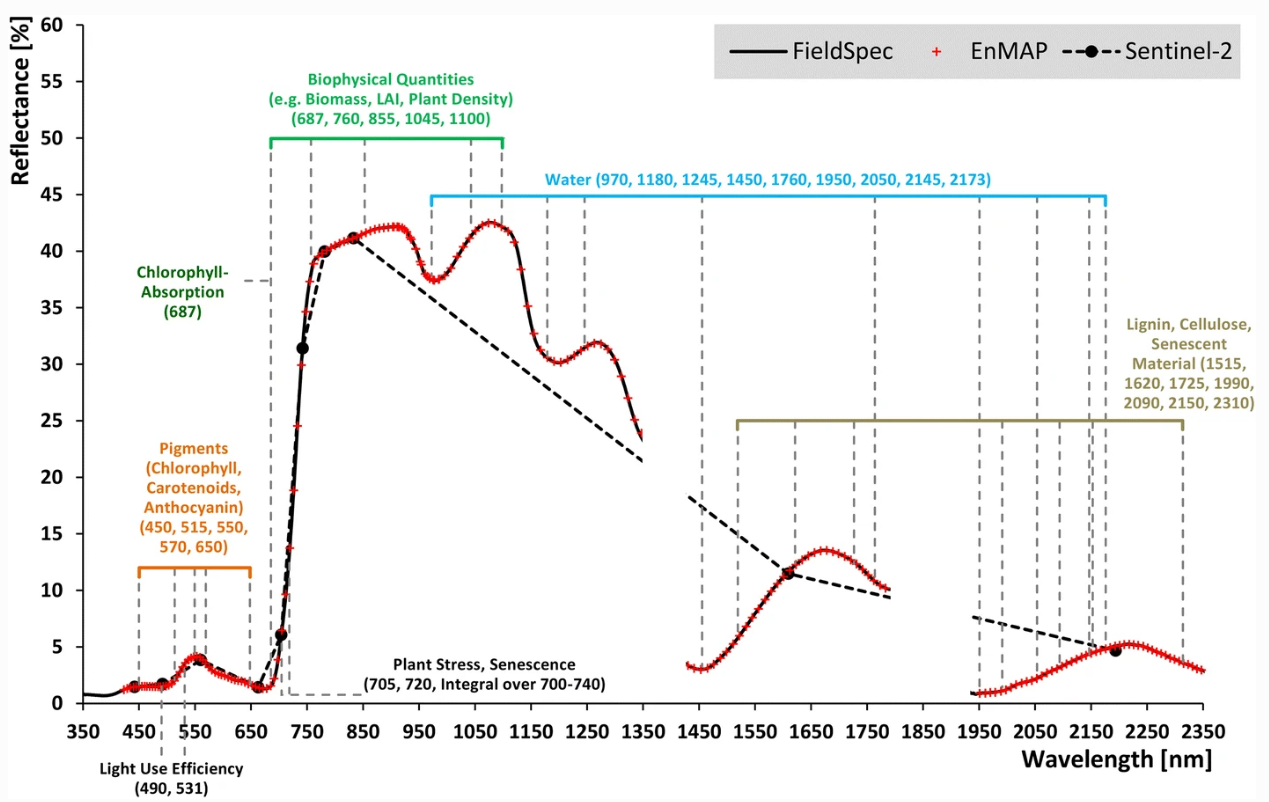 Vegetation spectrum in hyperespctral (ASD FieldSpec4, EnMAP) and multispectral (Sentinel-2) resolution as well as characterictic spectral features caused by various constituents and processes (absorption lines shown as grey dashed lines) (Source: Hank et al. 2018).